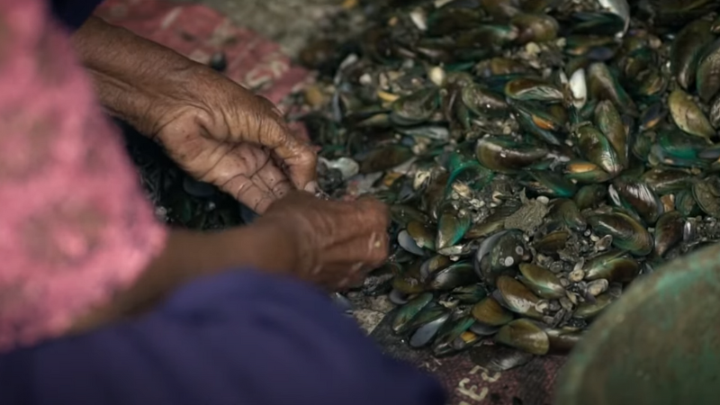 The Atlantis Mussels